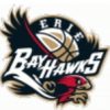Erie Bayhawks logo