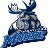 Manitoba Moose logo