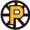 Providence Bruins logo