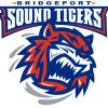 bridgeport sound tigers logo
