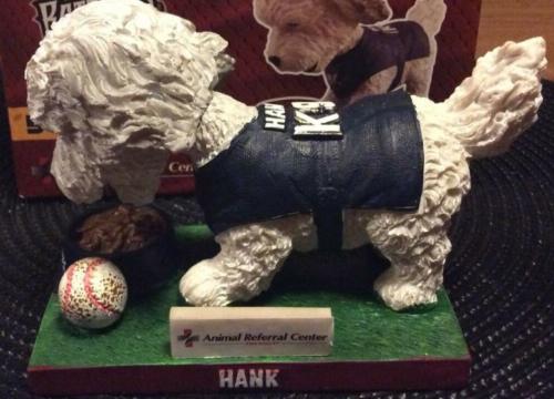 Hank the Dog - June 8, 2017